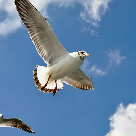 Apartment Apartament Z Prywatnym, Krytym Basenem *