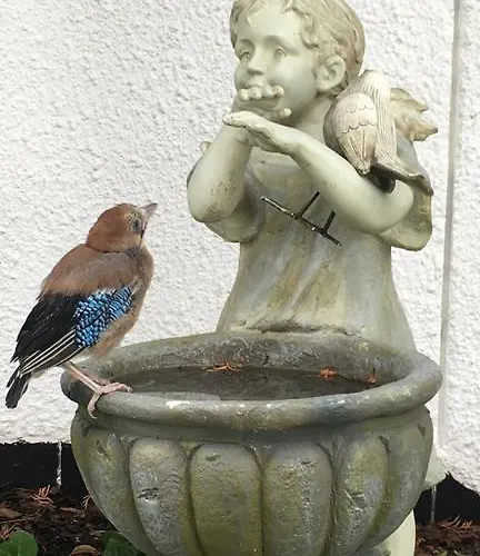 Z Prywatnym, Krytym Basenem Apartman