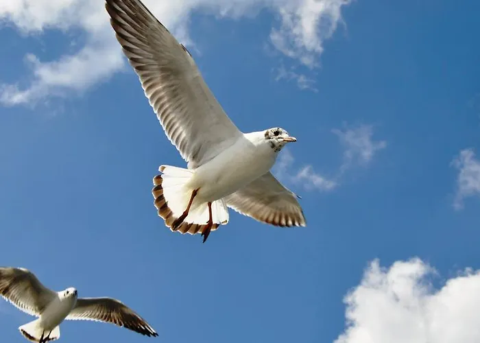 דירה Z Prywatnym, Krytym Basenem *