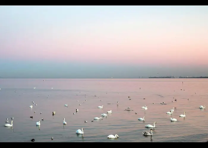 Z Prywatnym, Krytym Basenem